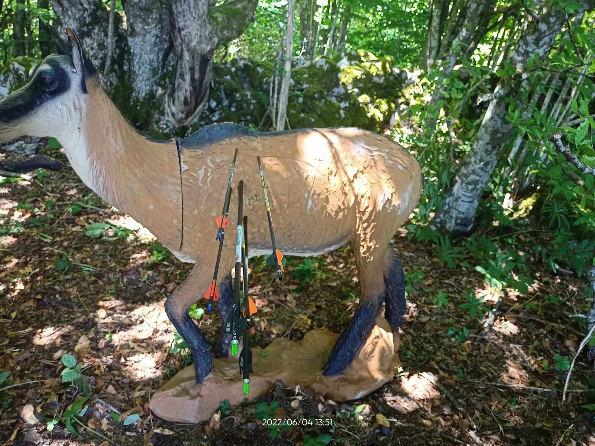 WA 3D Brinje Xtreme 6.0 - slika 2